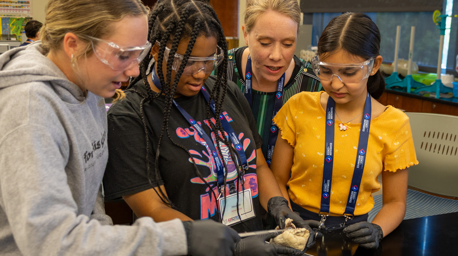 STEM students